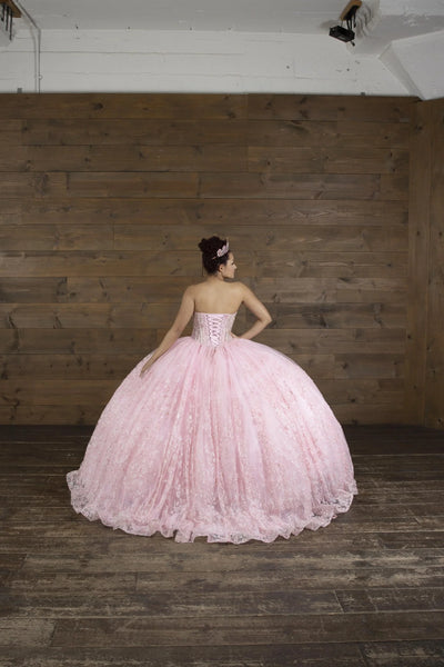 Sparkling Quinceañera Dress | Princess Collection
