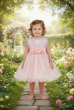 Baby Sequin Lace Special Occasion Dress 6-24M