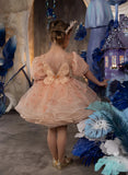 Aurelia Cupcake Girls Pageant Dress – Fairy Birthday Dress