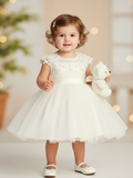 Baby Birthday Party Dress – Lace Special Occasion Dress