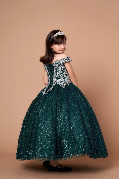 Girls Off Shoulder Party Dress Glitter Tulle Ballgown